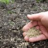 Just sow grass seeds