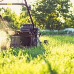 From grass to bricks