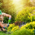 How to kill grass