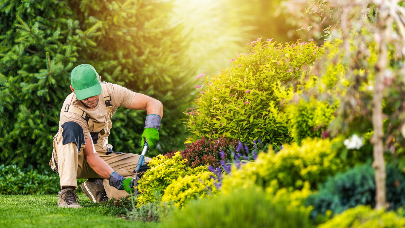 How to kill grass